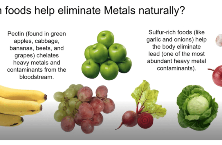 Eliminate Heavy Metals Naturally in Tallahassee