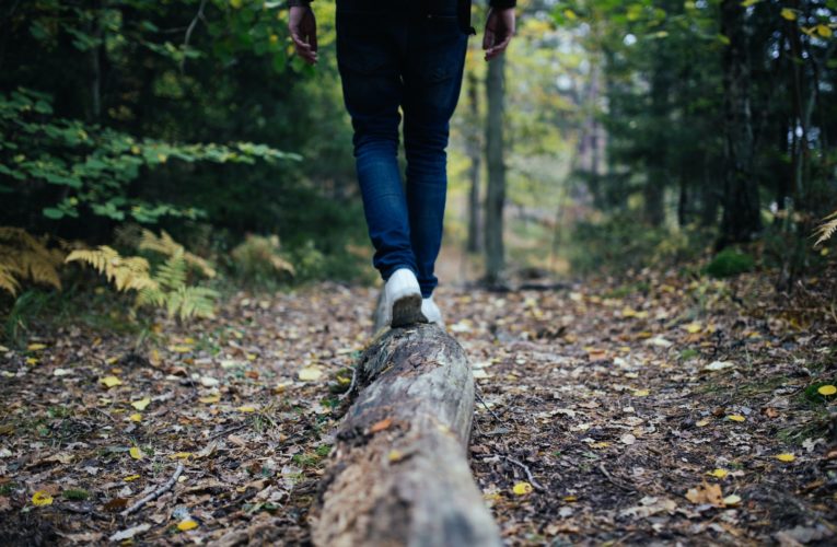 Tips for Balancing your Hormones Naturally  in Tallahassee