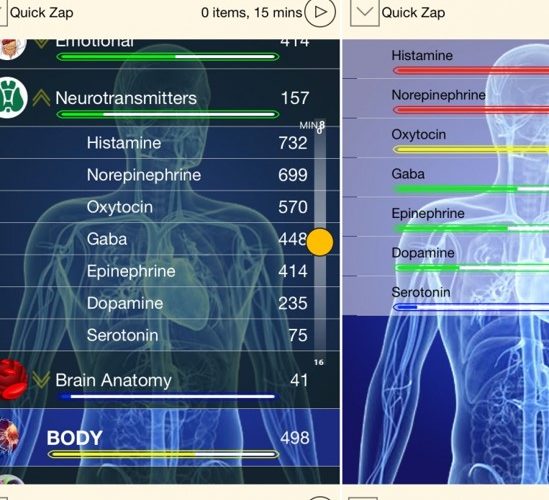 Unlock Your Body’s Healing Frequencies: Explore Frequency Medicine in Tallahassee